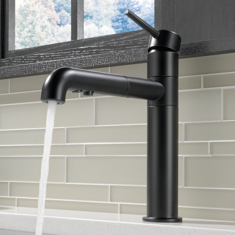 Delta Trinsic® Standard Pull Out Single Handle Kitchen Faucet with ...